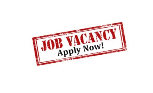 Job-Vacancy Job-Vacancy